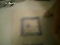 Small unshaved dog pleasures a Girl's pubes